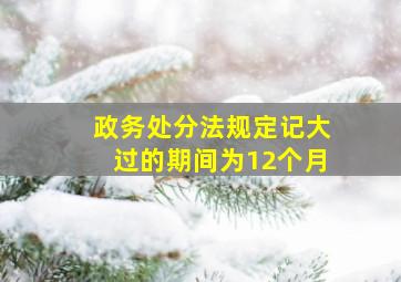 政务处分法规定记大过的期间为12个月