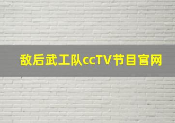 敌后武工队ccTV节目官网