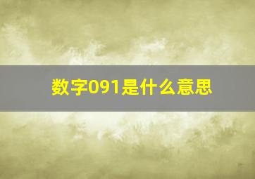 数字091是什么意思