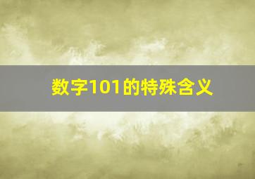 数字101的特殊含义