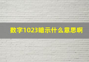 数字1023暗示什么意思啊