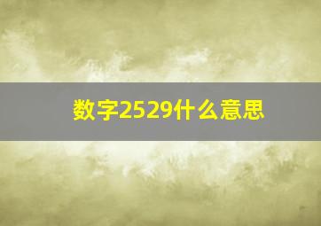 数字2529什么意思