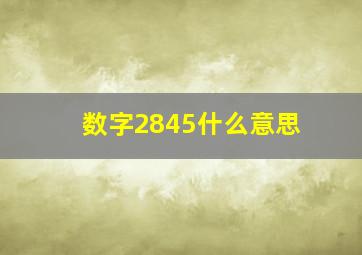 数字2845什么意思