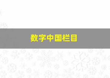 数字中国栏目