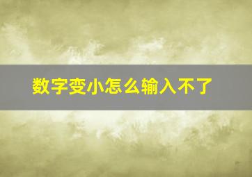 数字变小怎么输入不了