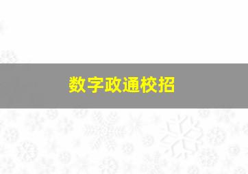 数字政通校招