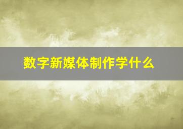 数字新媒体制作学什么