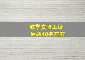 数学实验王读后感40字左右