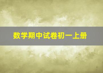 数学期中试卷初一上册