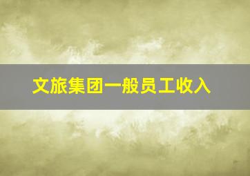 文旅集团一般员工收入