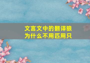 文言文中的翻译狼为什么不用匹用只