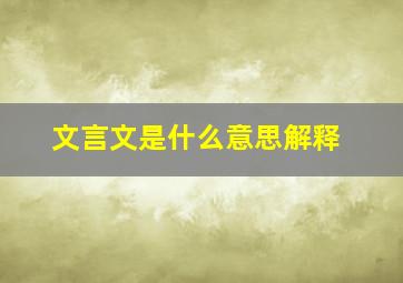 文言文是什么意思解释