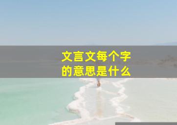 文言文每个字的意思是什么