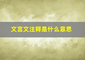 文言文注释是什么意思