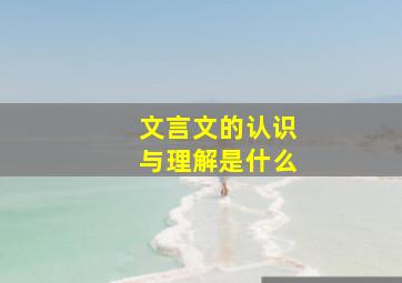 文言文的认识与理解是什么