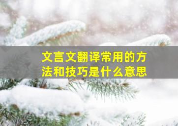 文言文翻译常用的方法和技巧是什么意思