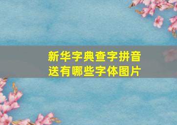 新华字典查字拼音送有哪些字体图片