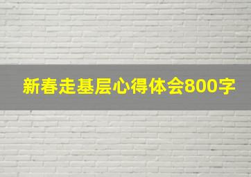 新春走基层心得体会800字