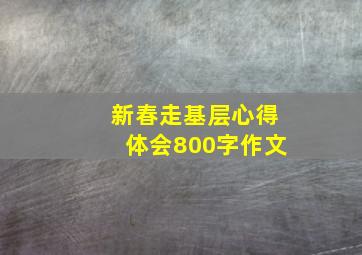 新春走基层心得体会800字作文