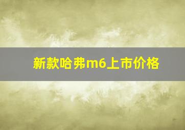 新款哈弗m6上市价格