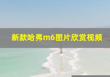 新款哈弗m6图片欣赏视频