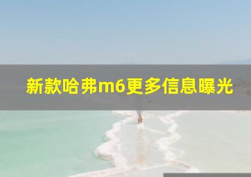 新款哈弗m6更多信息曝光