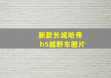 新款长城哈弗h5越野车图片