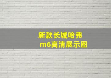 新款长城哈弗m6高清展示图