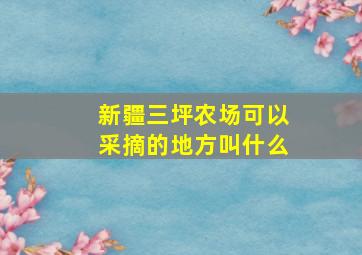 新疆三坪农场可以采摘的地方叫什么