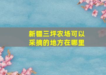 新疆三坪农场可以采摘的地方在哪里