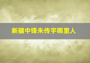 新疆中锋朱传宇哪里人