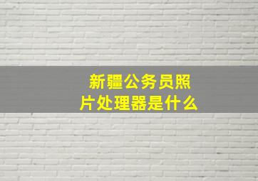 新疆公务员照片处理器是什么