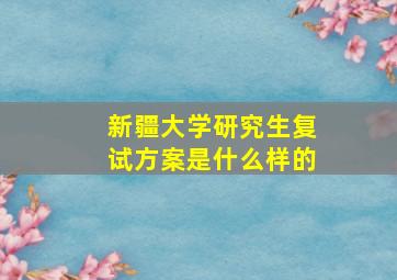 新疆大学研究生复试方案是什么样的