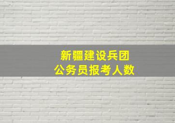 新疆建设兵团公务员报考人数