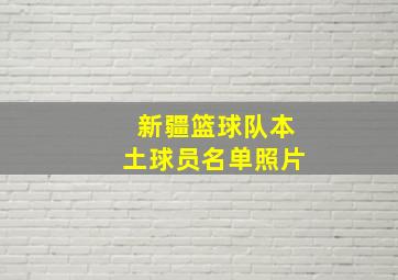 新疆篮球队本土球员名单照片