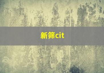 新筛cit