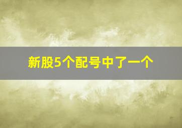 新股5个配号中了一个