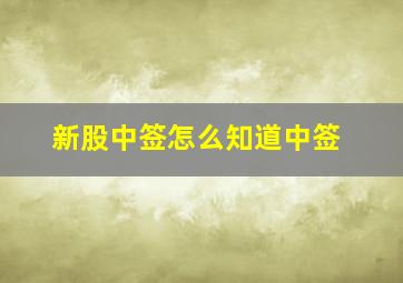 新股中签怎么知道中签