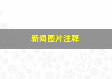 新闻图片注释