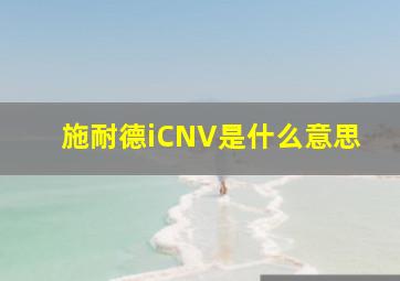 施耐德iCNV是什么意思