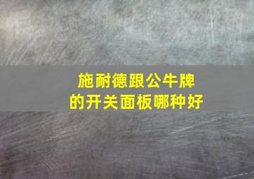 施耐德跟公牛牌的开关面板哪种好