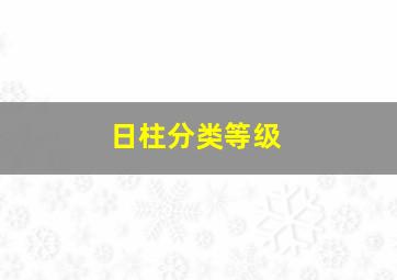 日柱分类等级