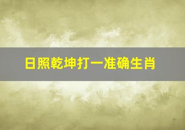 日照乾坤打一准确生肖