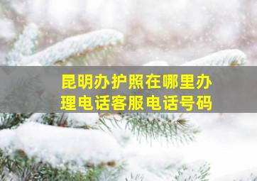 昆明办护照在哪里办理电话客服电话号码