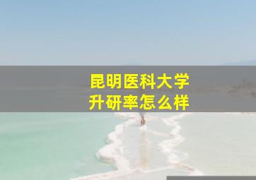 昆明医科大学升研率怎么样