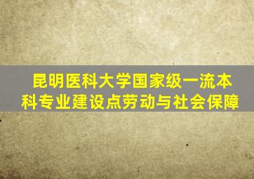 昆明医科大学国家级一流本科专业建设点劳动与社会保障