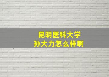 昆明医科大学孙大力怎么样啊