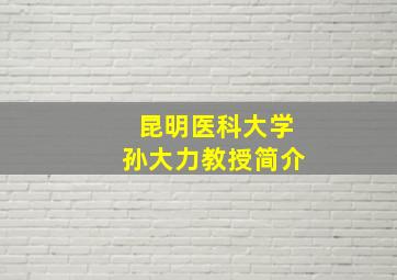 昆明医科大学孙大力教授简介