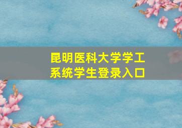 昆明医科大学学工系统学生登录入口