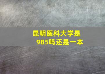 昆明医科大学是985吗还是一本